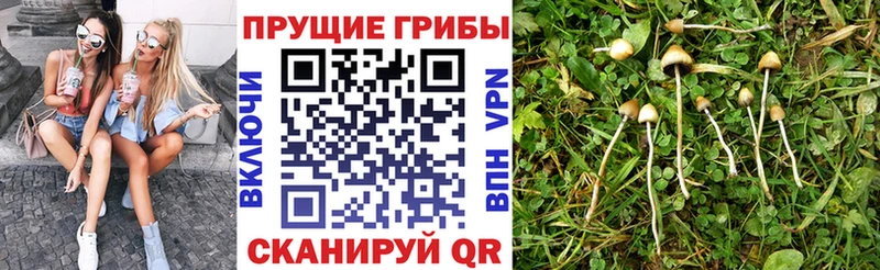 Галлюциногенные грибы Magic Shrooms Верхнеуральск